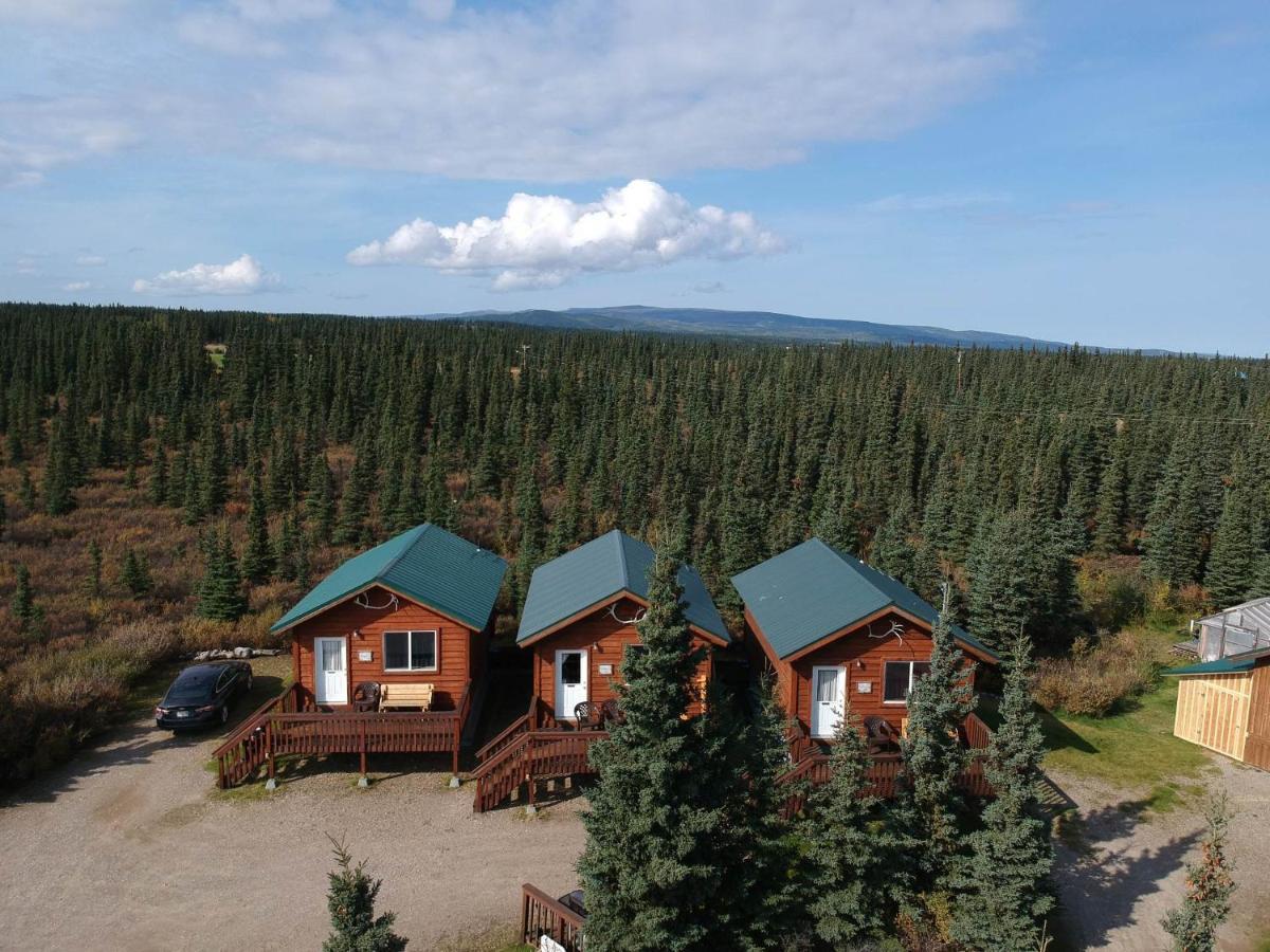 Denali'S Alaskan Spruce Cabins Healy Esterno foto