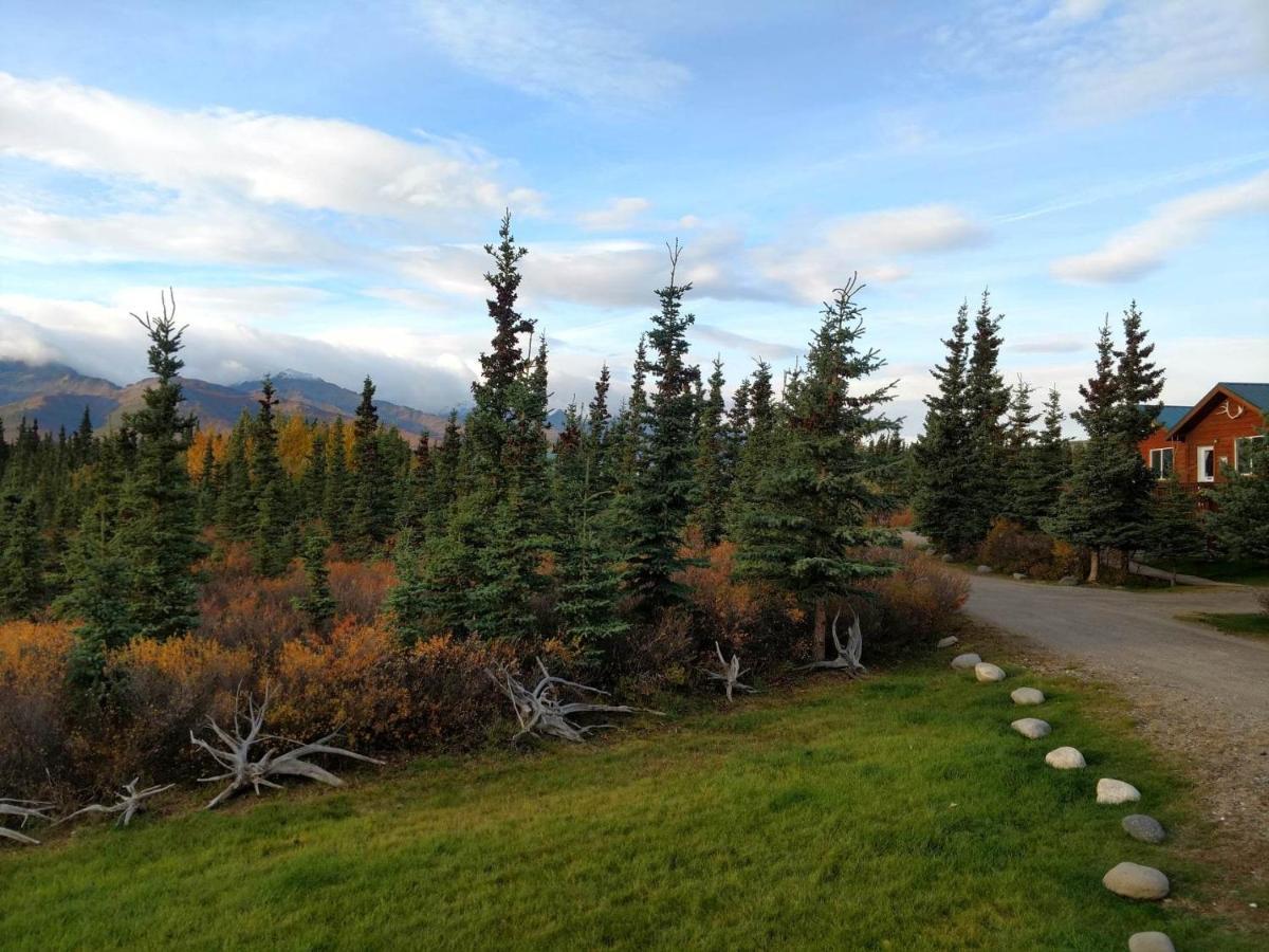 Denali'S Alaskan Spruce Cabins Healy Esterno foto