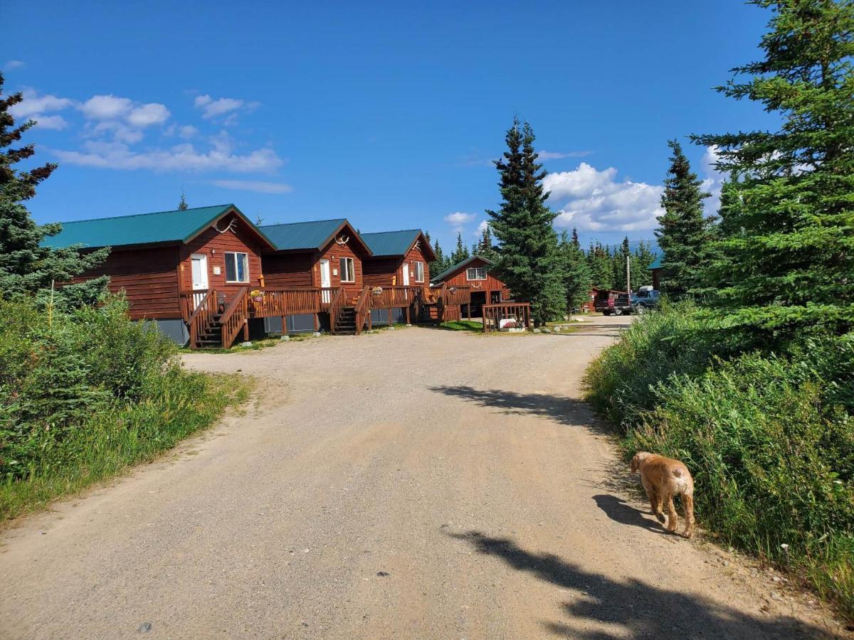 Denali'S Alaskan Spruce Cabins Healy Esterno foto