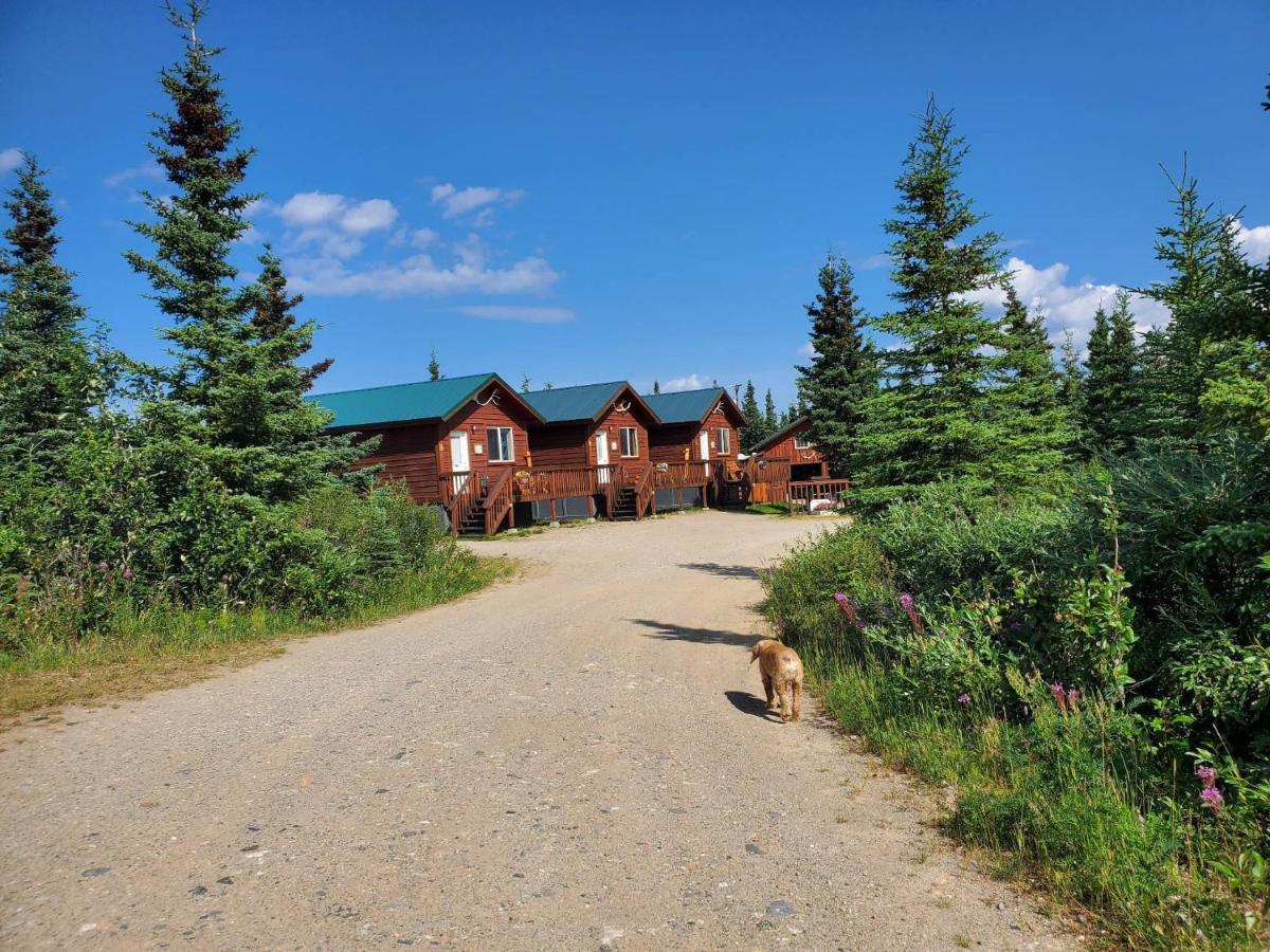 Denali'S Alaskan Spruce Cabins Healy Esterno foto