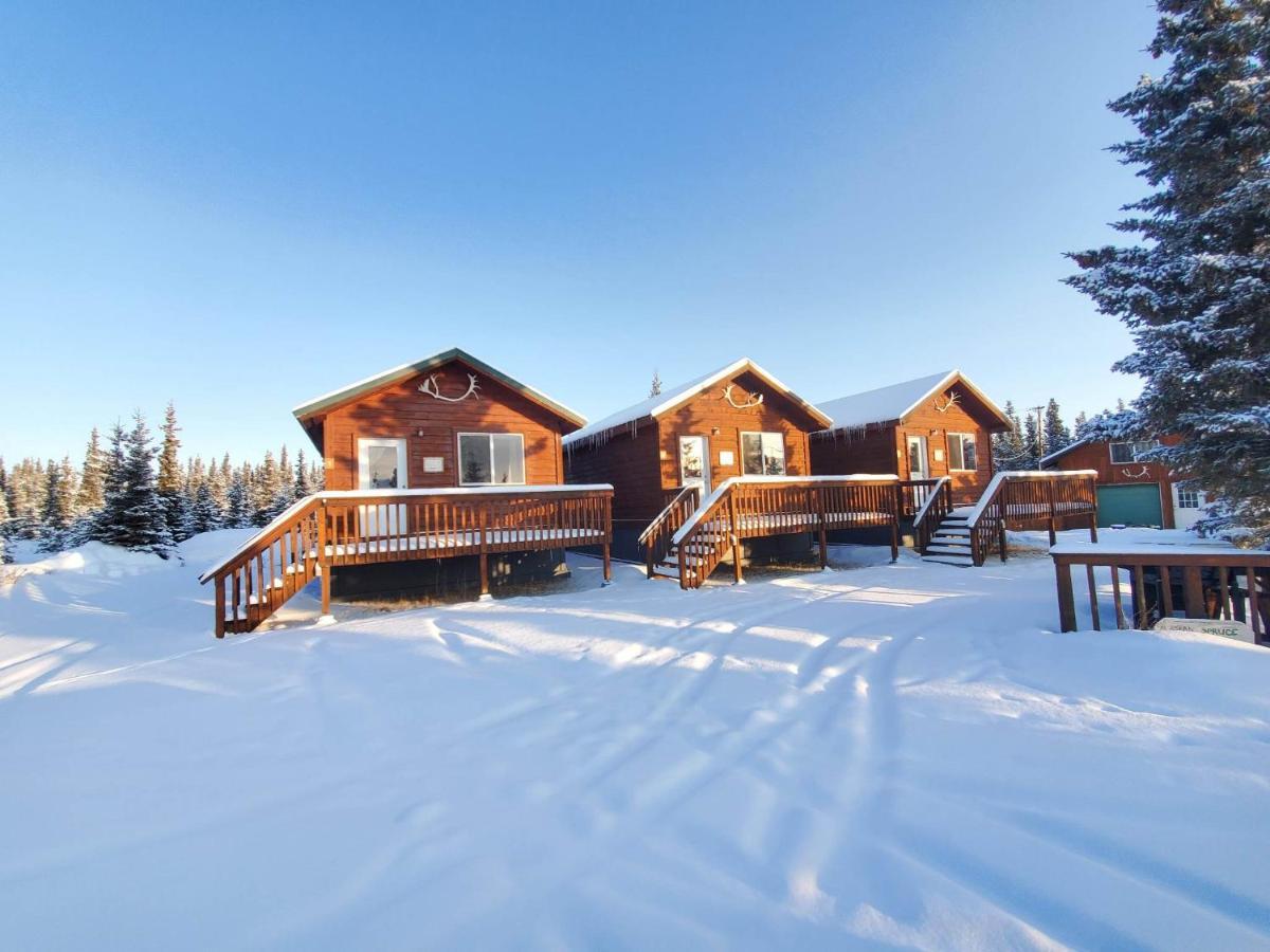 Denali'S Alaskan Spruce Cabins Healy Esterno foto