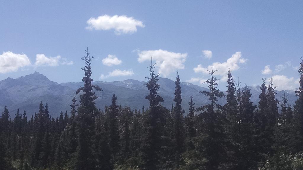 Denali'S Alaskan Spruce Cabins Healy Esterno foto