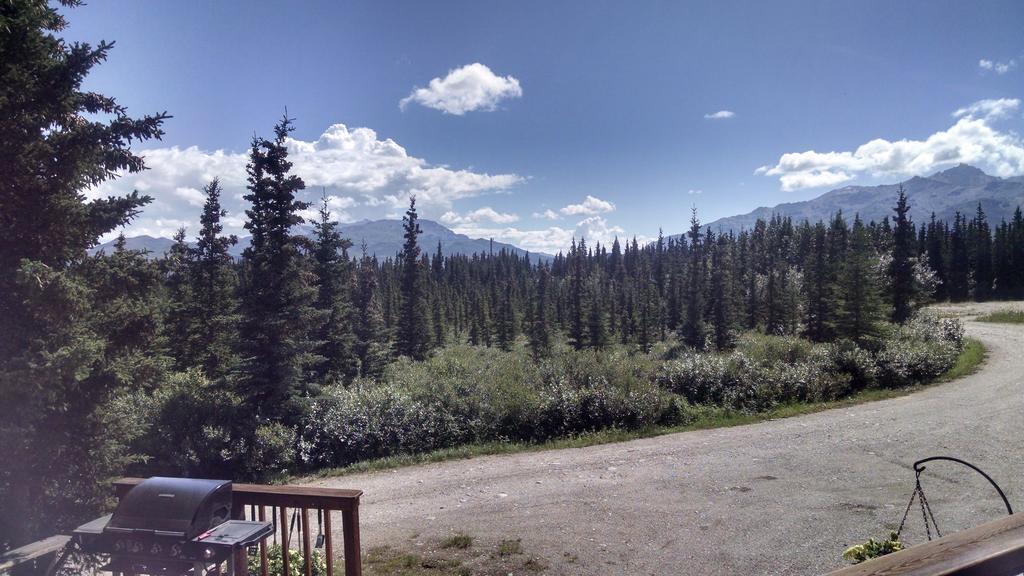 Denali'S Alaskan Spruce Cabins Healy Esterno foto