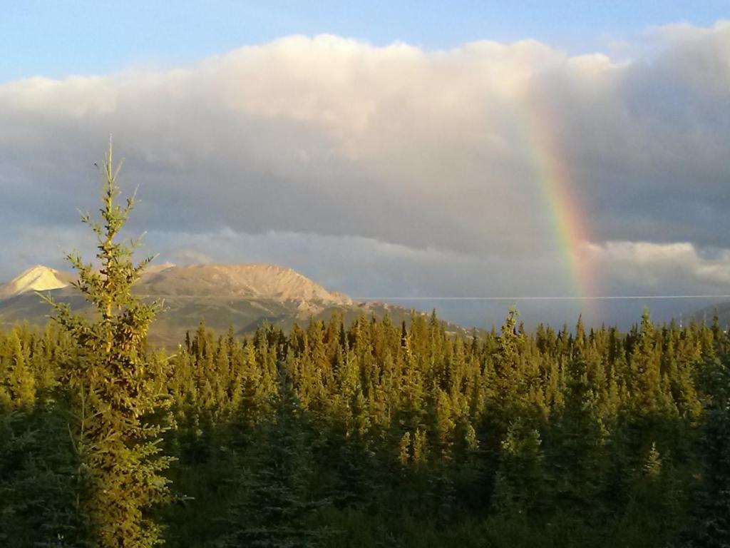 Denali'S Alaskan Spruce Cabins Healy Esterno foto