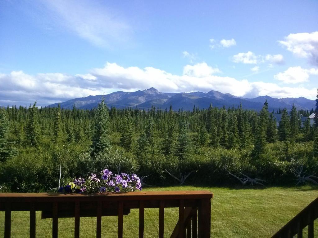 Denali'S Alaskan Spruce Cabins Healy Esterno foto
